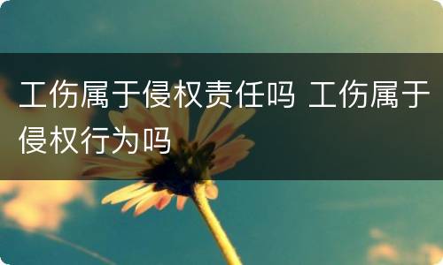 工伤属于侵权责任吗 工伤属于侵权行为吗