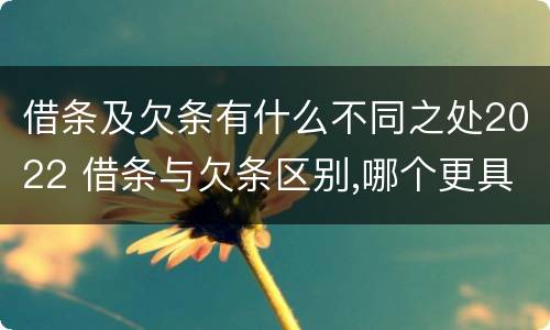 借条及欠条有什么不同之处2022 借条与欠条区别,哪个更具法律