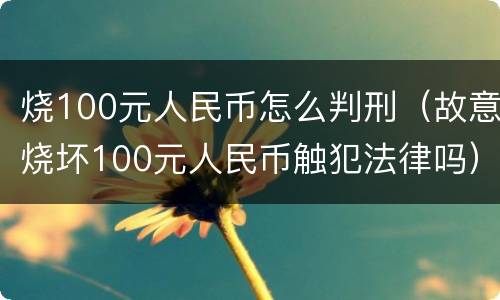 烧100元人民币怎么判刑（故意烧坏100元人民币触犯法律吗）