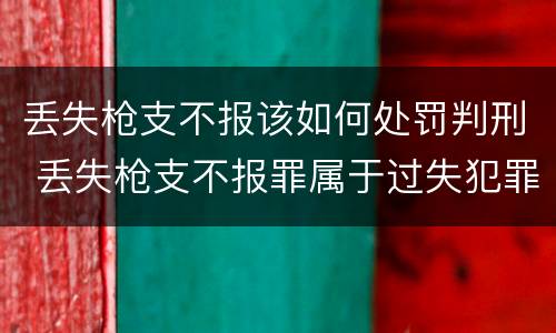 丢失枪支不报该如何处罚判刑 丢失枪支不报罪属于过失犯罪吗