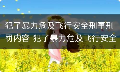犯了暴力危及飞行安全刑事刑罚内容 犯了暴力危及飞行安全刑事刑罚内容是什么