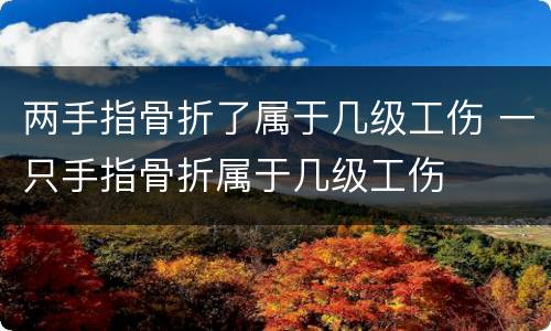 两手指骨折了属于几级工伤 一只手指骨折属于几级工伤