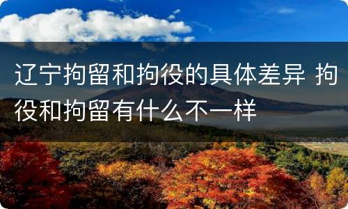 辽宁拘留和拘役的具体差异 拘役和拘留有什么不一样