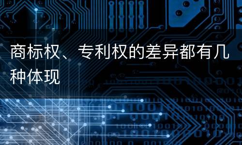 商标权、专利权的差异都有几种体现