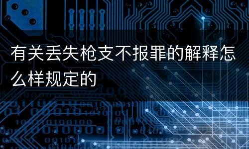 有关丢失枪支不报罪的解释怎么样规定的