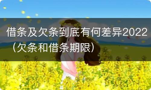 借条及欠条到底有何差异2022（欠条和借条期限）