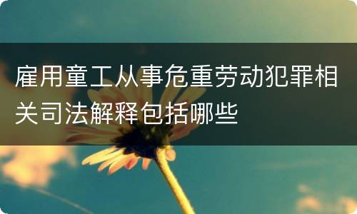 雇用童工从事危重劳动犯罪相关司法解释包括哪些