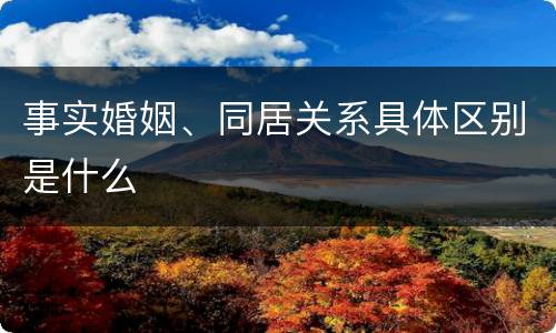 事实婚姻、同居关系具体区别是什么
