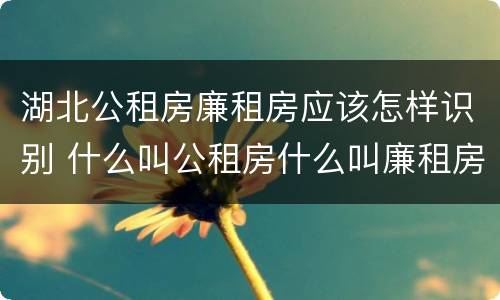 湖北公租房廉租房应该怎样识别 什么叫公租房什么叫廉租房