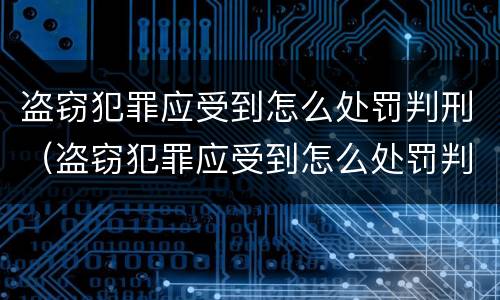盗窃犯罪应受到怎么处罚判刑（盗窃犯罪应受到怎么处罚判刑多久）
