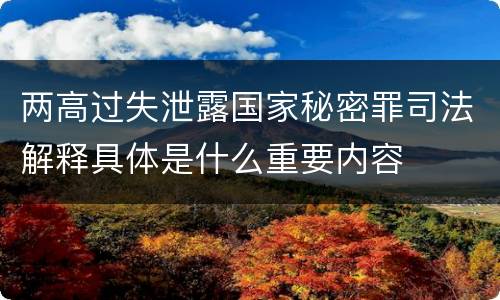 两高过失泄露国家秘密罪司法解释具体是什么重要内容