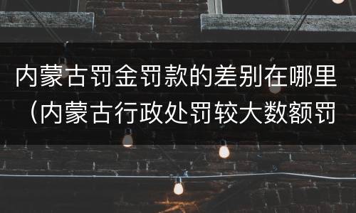 内蒙古罚金罚款的差别在哪里（内蒙古行政处罚较大数额罚款标准）