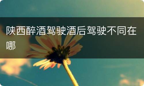 陕西醉酒驾驶酒后驾驶不同在哪