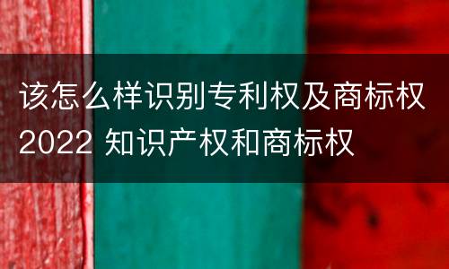 该怎么样识别专利权及商标权2022 知识产权和商标权