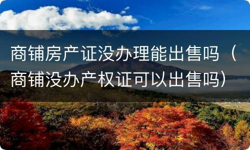 商铺房产证没办理能出售吗（商铺没办产权证可以出售吗）