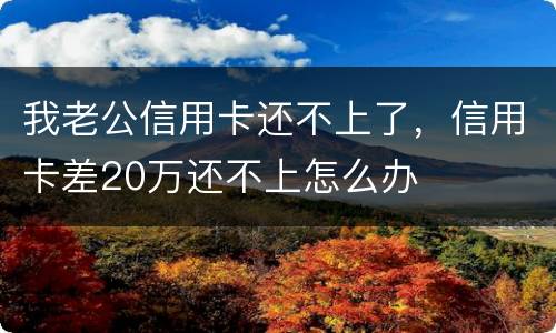 我老公信用卡还不上了，信用卡差20万还不上怎么办