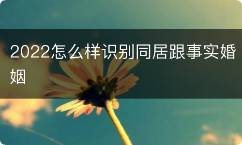 2022怎么样识别同居跟事实婚姻