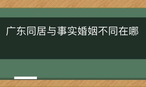 广东同居与事实婚姻不同在哪