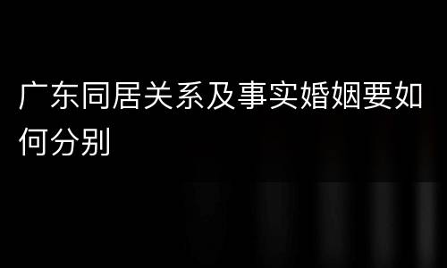 广东同居关系及事实婚姻要如何分别