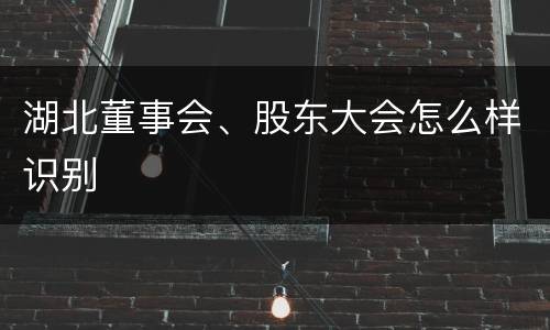 湖北董事会、股东大会怎么样识别