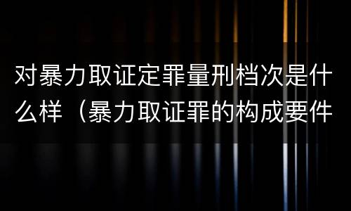 对暴力取证定罪量刑档次是什么样（暴力取证罪的构成要件）