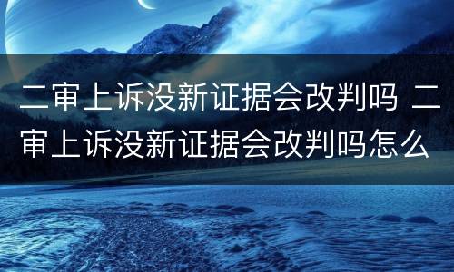 二审上诉没新证据会改判吗 二审上诉没新证据会改判吗怎么办