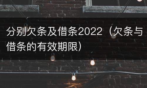 分别欠条及借条2022（欠条与借条的有效期限）