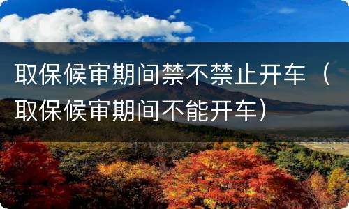 取保候审期间禁不禁止开车（取保候审期间不能开车）