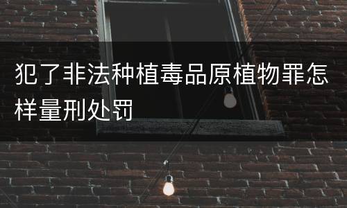 犯了非法种植毒品原植物罪怎样量刑处罚