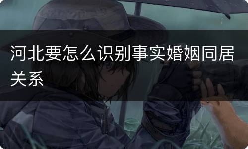 河北要怎么识别事实婚姻同居关系