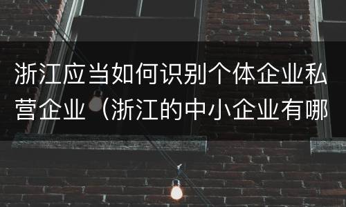浙江应当如何识别个体企业私营企业(浙江的中小企业有哪些)
