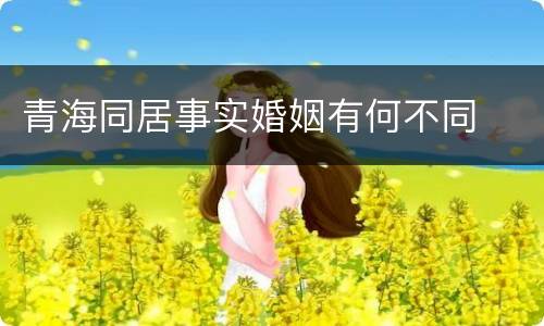 青海同居事实婚姻有何不同