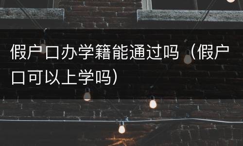 假户口办学籍能通过吗（假户口可以上学吗）