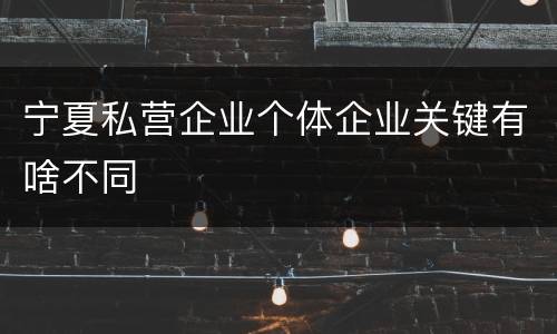 宁夏私营企业个体企业关键有啥不同
