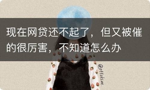 现在网贷还不起了，但又被催的很厉害，不知道怎么办