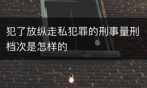 犯了放纵走私犯罪的刑事量刑档次是怎样的