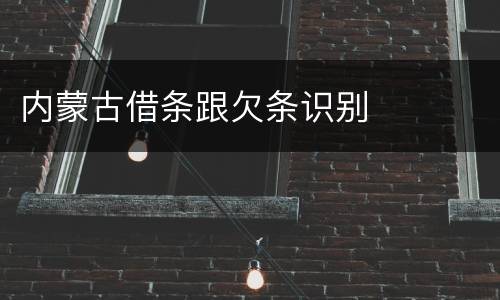 内蒙古借条跟欠条识别