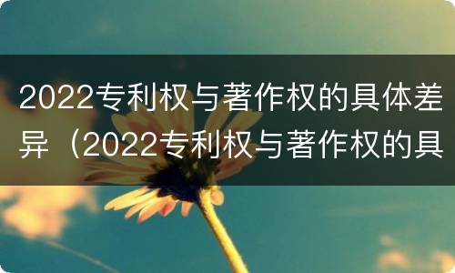 2022专利权与著作权的具体差异（2022专利权与著作权的具体差异有哪些）