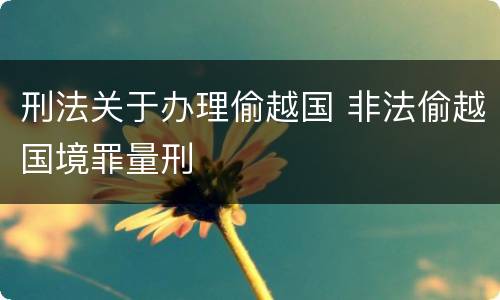 刑法关于办理偷越国 非法偷越国境罪量刑