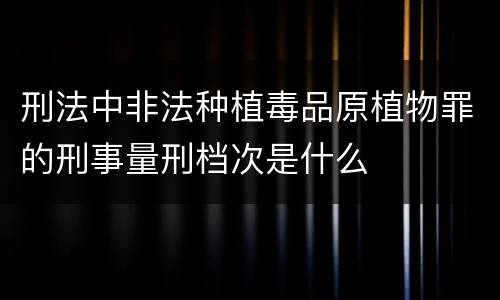 刑法中非法种植毒品原植物罪的刑事量刑档次是什么