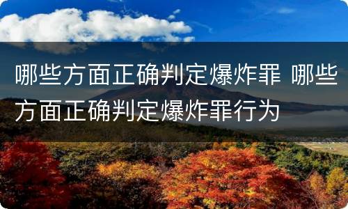 哪些方面正确判定爆炸罪 哪些方面正确判定爆炸罪行为