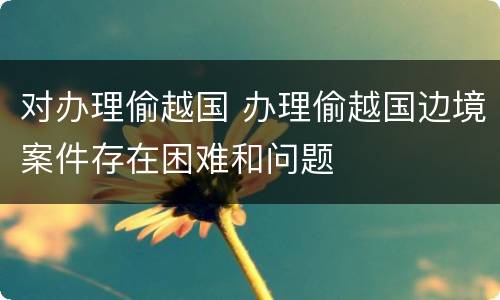 对办理偷越国 办理偷越国边境案件存在困难和问题
