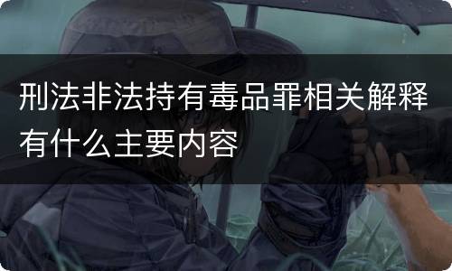 刑法非法持有毒品罪相关解释有什么主要内容