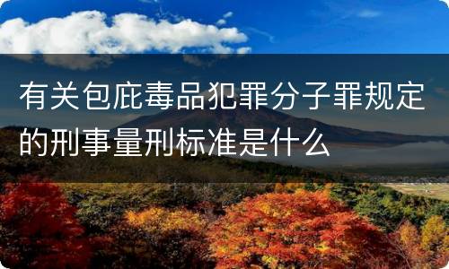 有关包庇毒品犯罪分子罪规定的刑事量刑标准是什么