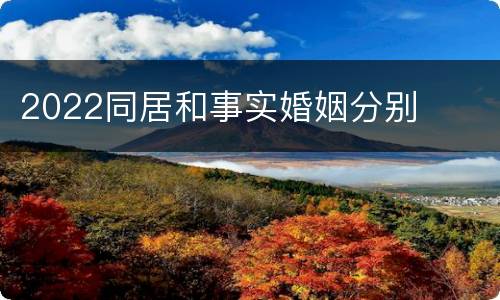 2022同居和事实婚姻分别