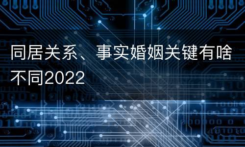 同居关系、事实婚姻关键有啥不同2022