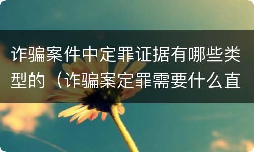 诈骗案件中定罪证据有哪些类型的（诈骗案定罪需要什么直接证据）