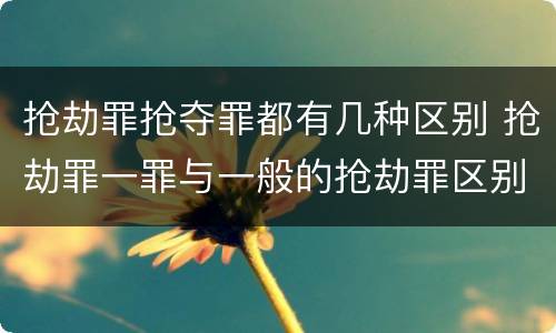 抢劫罪抢夺罪都有几种区别 抢劫罪一罪与一般的抢劫罪区别