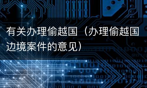 有关办理偷越国（办理偷越国边境案件的意见）