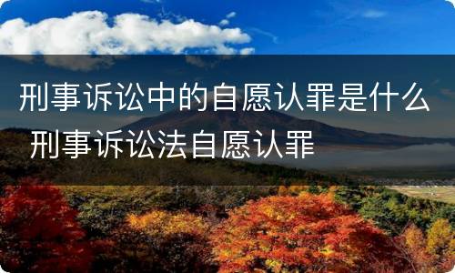 刑事诉讼中的自愿认罪是什么 刑事诉讼法自愿认罪
